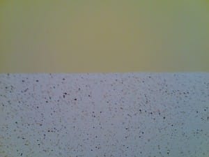 materia  y natryskowe (1)